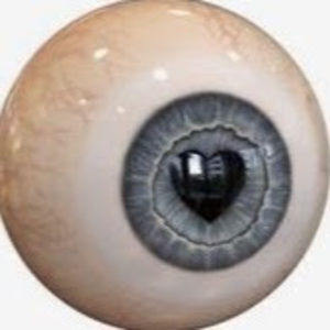 Meet your Posher, Evelyn